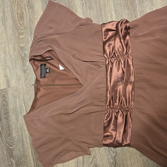 NWT CJ Banks brown chiffon dress sz 18W - Picture 2 of 3